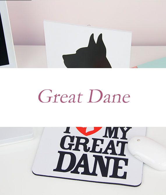 Kit e Idee regalo per gli amanti degli Alani