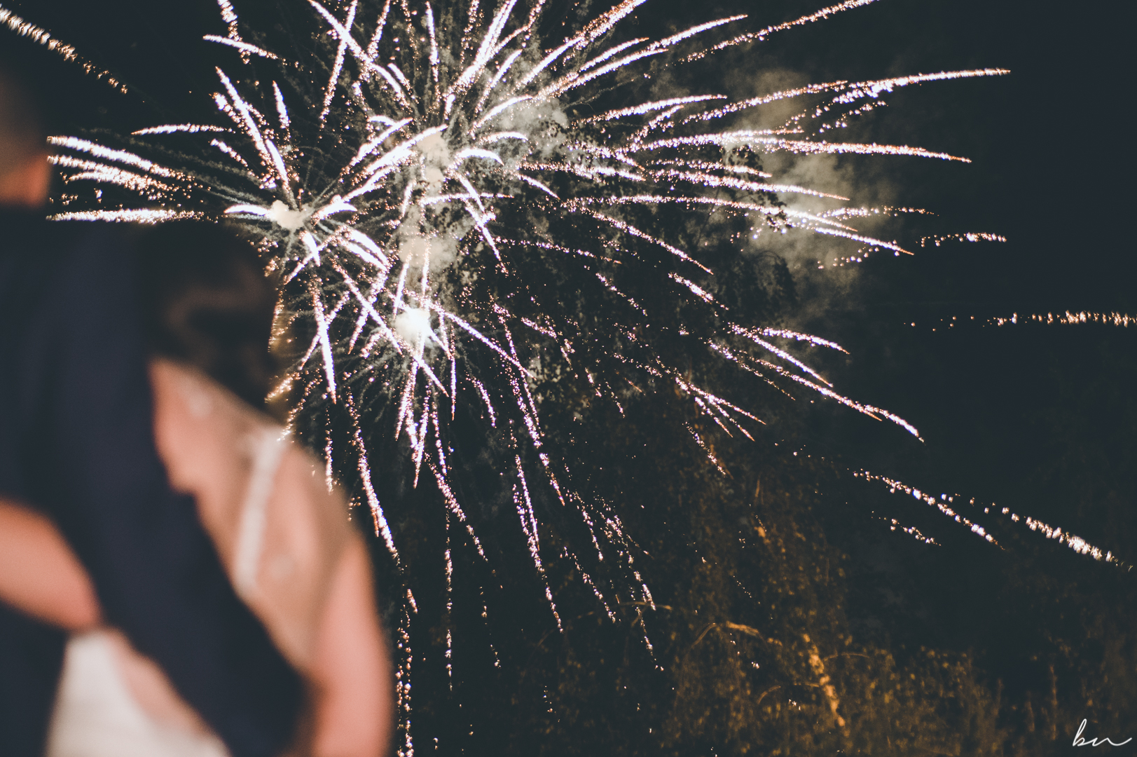 Fuochi d'artificio per Matrimonio. La parola all'esperto 7 cose da sapere