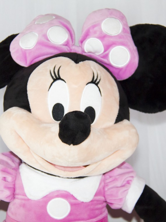 primo compleanno a tema minnie